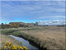 NJ3465 : Spey Bay Nature Reserve by Ralph Greig