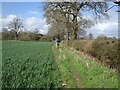 SO8188 : Staffordshire Way Field by Gordon Griffiths