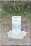 ST6549 : Old Milestone by A367, just South of Stratton on the Fosse Way by Janet Dowding