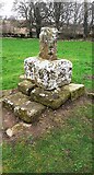 NY5563 : Stump of cross in grounds of Lanercost Priory by Roger Templeman