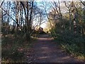 Path towards Pinehill Road