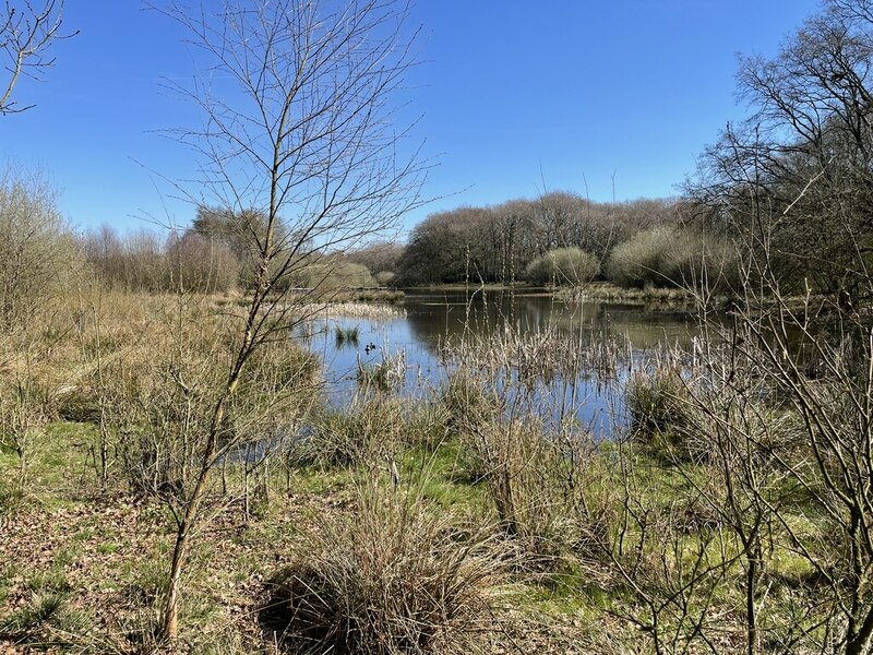 Brown Moss Nature Reserve © Andrew Shannon :: Geograph Britain and Ireland