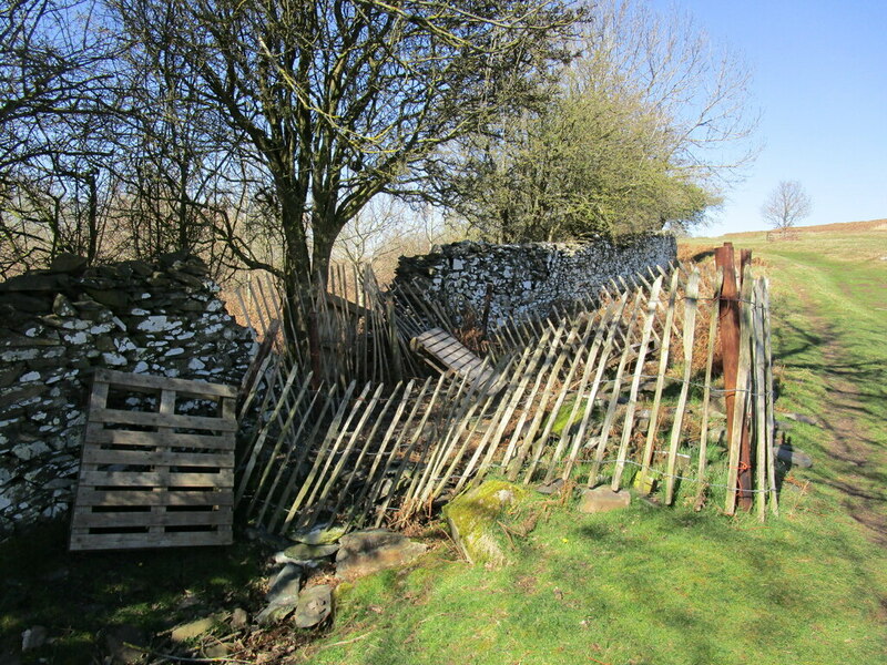 Collapsed boundary wall, Bradgate Park © Jonathan Thacker :: Geograph ...