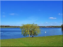 SE3217 : Lake in Pugneys Country Park by Graham Hogg