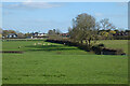 Pasture, Little Missenden