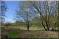 Heathland north-west of Pendeford, Wolverhampton