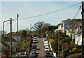 Pines Road, Paignton