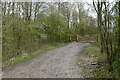 Footpath onto former Nottingham Canal towpath