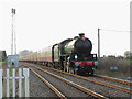 B1 steam loco at Collins Lane Crossing