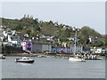 Dittisham from Greenway