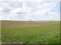 Bare field with grass margin