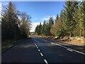 NY0692 : A701 towards Dumfries by Steven Brown