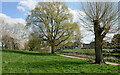 Canalside parkland in Pendeford, Wolverhampton