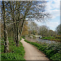 Shropshire Union Canal at Pendeford in Wolverhampton