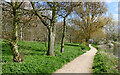 Footpath in Pendeford Park, Wolverhampton