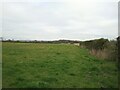 Field near Worle