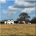 Rears of houses on the A281