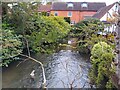 River Lambourn at Donnington