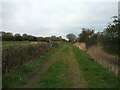 Farm track off Locking Moor Road