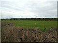 Field near Locking Moor Road