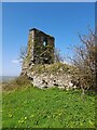 Capel Dyddgen Ruin