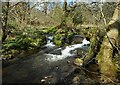 Small fall on the Cochno Burn