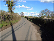 ST5163 : Bend on Kingdown Road by Thomas Nugent
