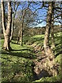 Dry sream of Bow Burn off Cocken Lane