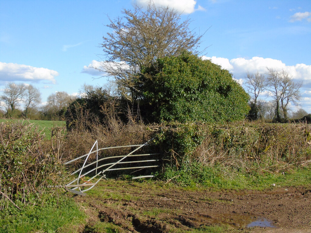 small-building-on-long-lane-thomas-nugent-geograph-britain-and-ireland