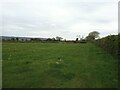 Field near Locking Moor Road