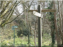 ST6176 : Signposts by Wickham Bridge by Neil Owen