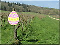 TQ1651 : Denbies Vineyard - Easter Egg by Colin Smith