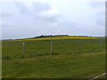 Farmland near Beacon Hill Farm