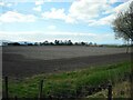 Ploughed field