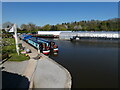 Marina at Ellesmere