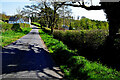 Tree shadow along Letfern Road