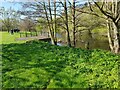 Pond near Bournehouse Farm, Chatley, Worcestershire