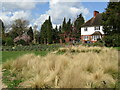 Wisley - Grassy Meadow