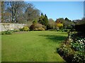 An open space in the garden