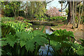 Pond, Victoria Park, Paignton