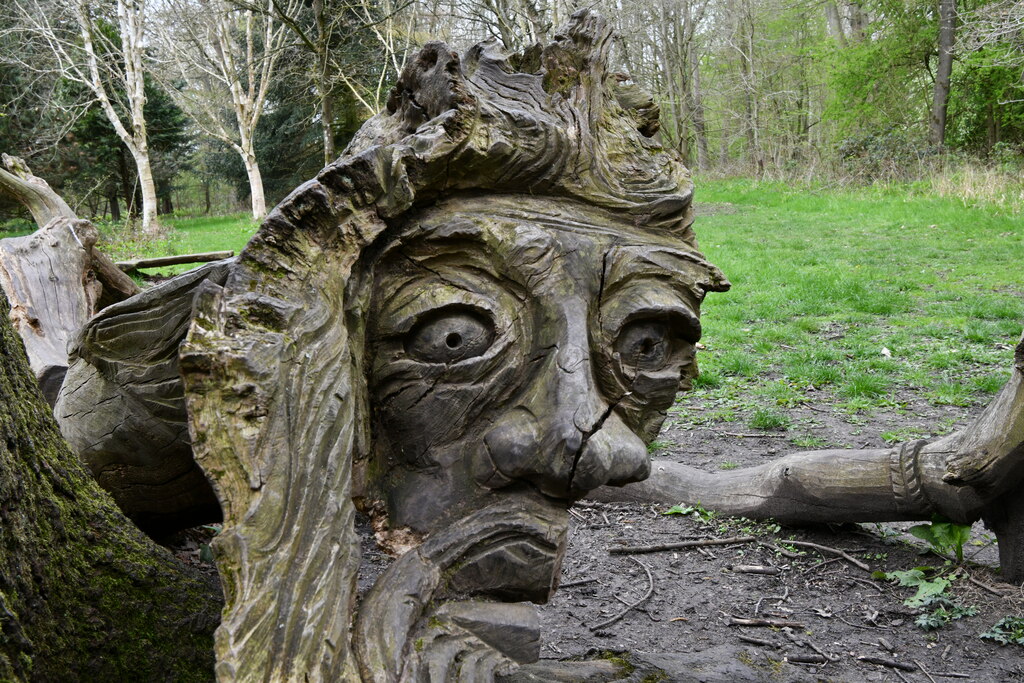 thornham-walks-face-on-a-tree-stump-michael-garlick-geograph