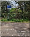 Direction sign near Ivybridge railway station