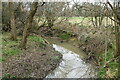 Tributary stream of the River Mole