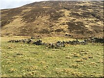 NN3394 : Possible old sheepfold in Glen Turret by Steven Brown