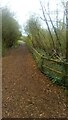 Repaired path in Warren Gorge