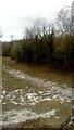 Path on the chalk base of Grays Gorge