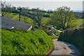 North Molton : Country Lane