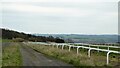 Gallops at Stonechester