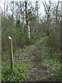 Waymark, permissive path, North Cliffe Wood