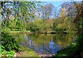 Hackensall Pond